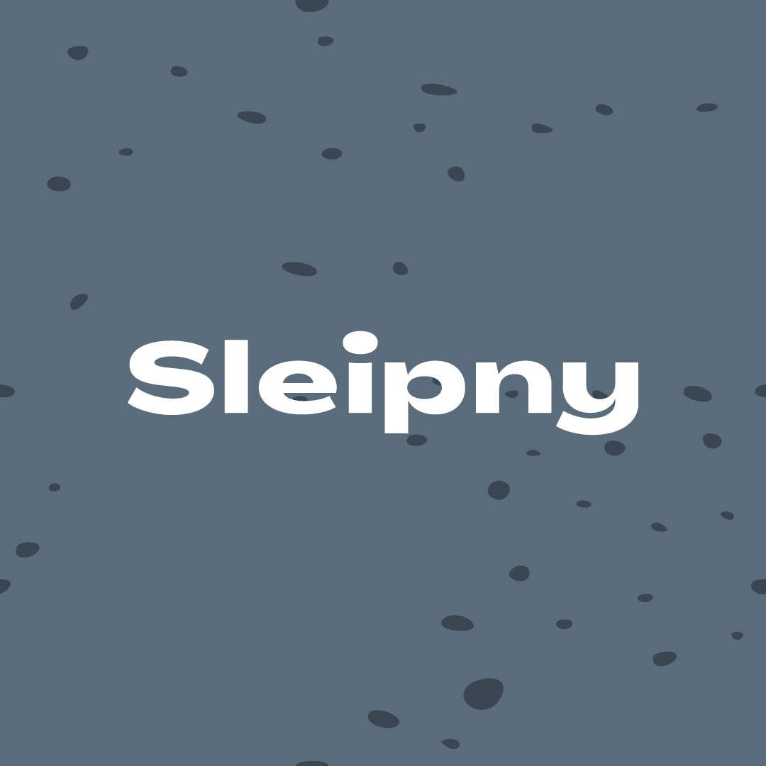Logo de l'application Sleipny